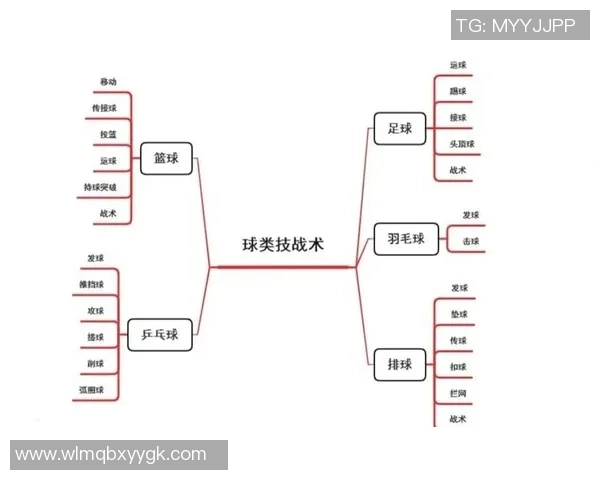 上海排球队转换战术的成败分析与未来发展方向探讨