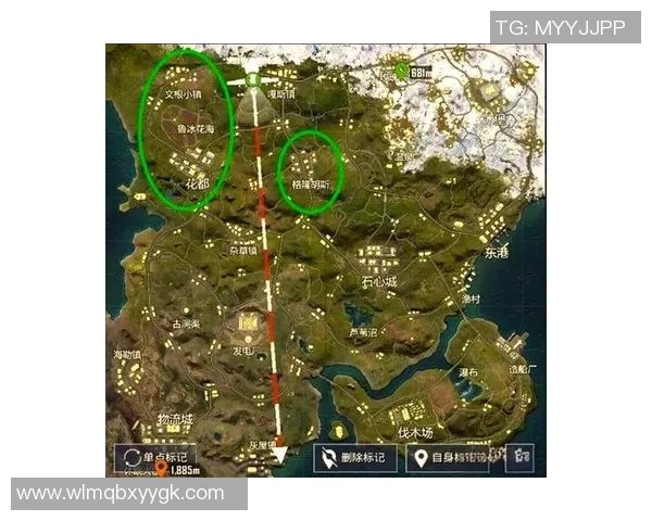 和平精英新手必看攻略全面解析游戏技巧与玩法入门指南