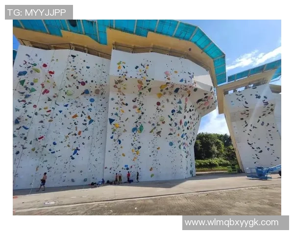 广州攀岩队节奏表现数据分析揭示训练效果与比赛成绩的关系