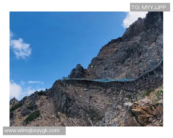 张秀英亲授攀岩技巧与心得体会助你轻松征服高峰