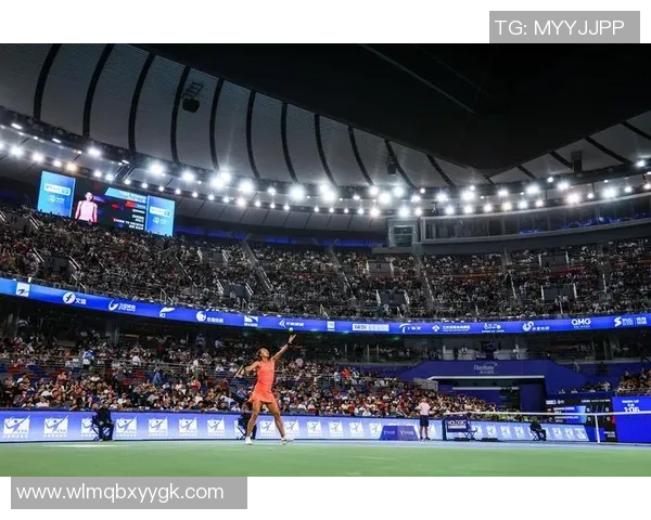 武汉网球队进攻策略揭秘深度解析网球技术与战术的完美结合