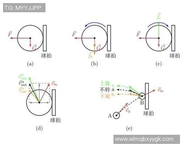 科学乒乓球力量训练方法全解析助你提升竞技水平与身体素质