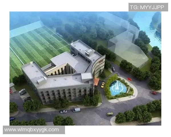 足球场的独特设计与功能分析探讨其对比赛的影响与观众体验