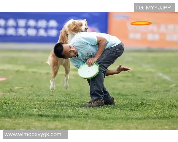 重庆飞盘队在极限运动世界杯中的拼搏历程与荣耀时刻